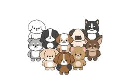 강아지 면역지수 테스트